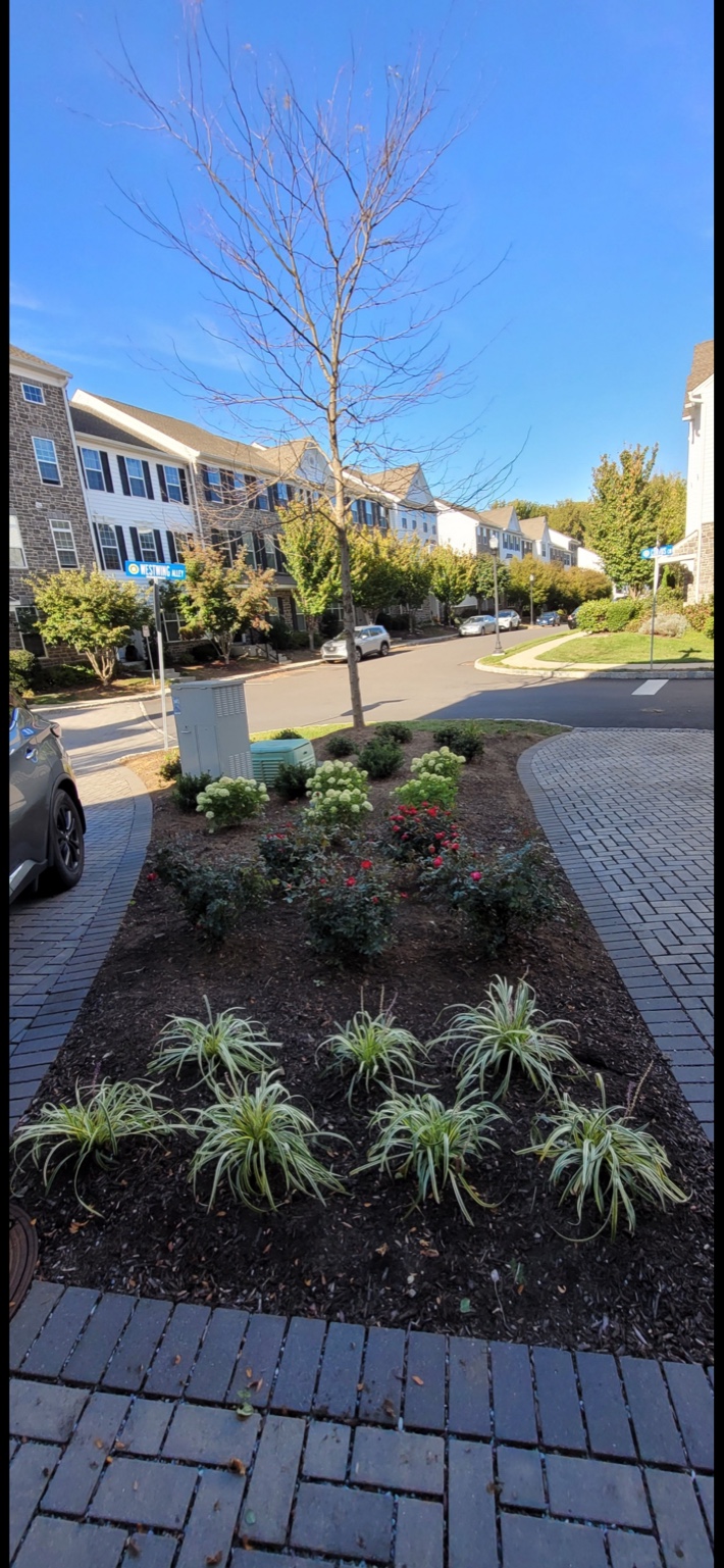 Landscape installation