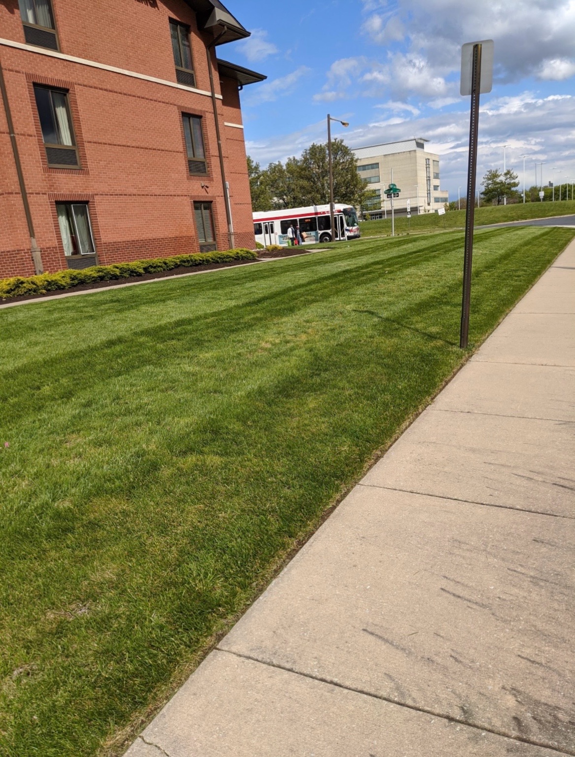 Professional lawn care